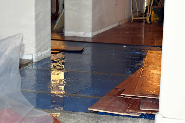 Professional Basement Water Removal technician working in Pembroke, NC